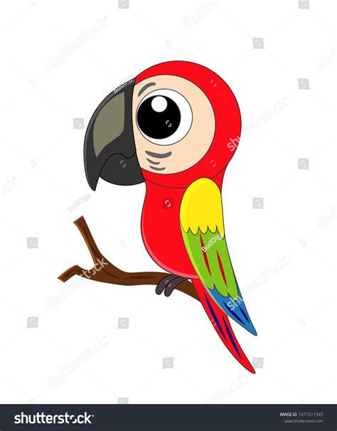 Cute Cartoon Parrot Vector Illustration Isolated Stock Vector Royalty