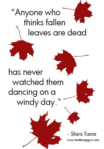 Fallen Leaves Autumn Quote Free Magic Of Autumn Ecards Greeting Cards