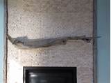 Pictures of Driftwood Fireplace Mantel Shelves