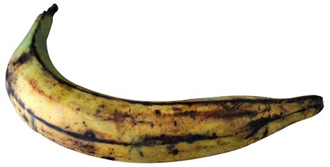 Plantain Png Image Purepng Free Transparent Cc0 Png Image Library