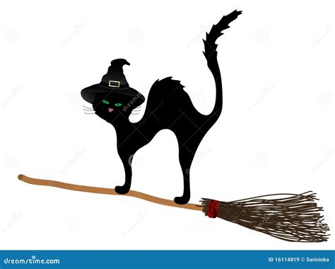 Cat On The Broom Stock Vector Illustration Of Broom 16114819