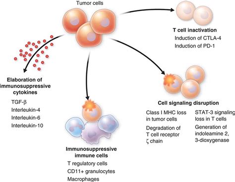 Cancer Cell Biology Clinical Gate