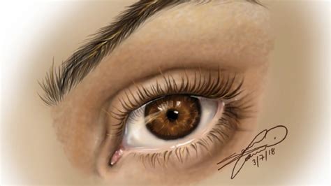 Realistic Eyes Drawing Color