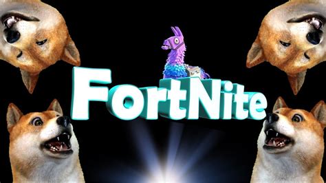 Fortnite With Dog Youtube