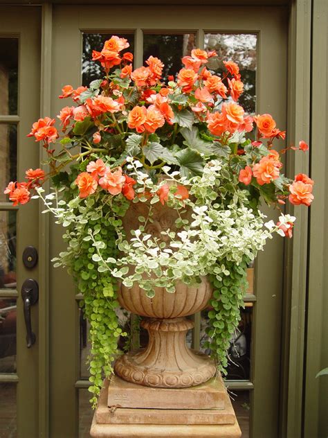 Container Gardens Container Flowers Porch Flowers Container Gardening