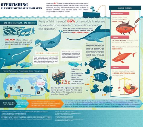 Overfishing Infographic Ocean Ecosystem Infographic Sea Fish