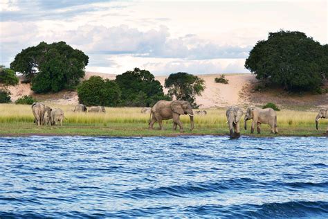 06days Lake Tanganyika Safari Eden Tours And Travel