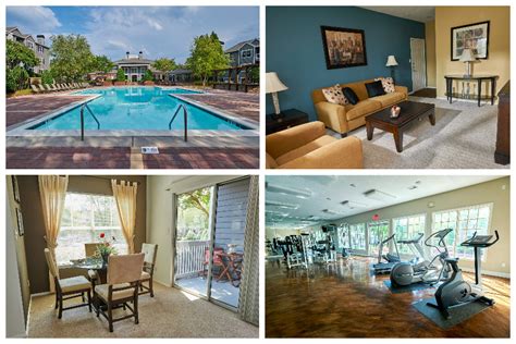 How many properties are available in charlotte? Best apartments for Rent in Charlotte NC: From Studios to ...