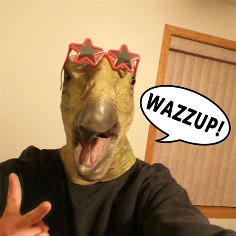 Im A Cool Dinosaur Because I Gots The Sunglasses On Thats Wazzup