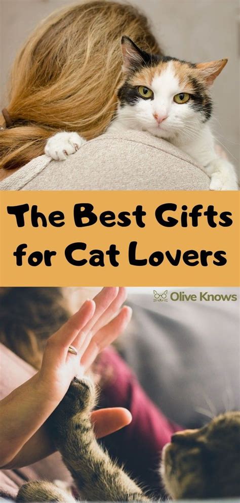 The Best Ts For Cat Lovers Oliveknows Cat Ts Cat Lover Ts