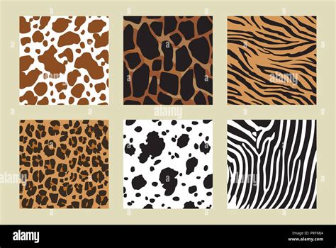 Animal Skin Pattern Six Different Pattern Vector Illustration Stock