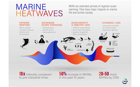 Marine Heatwaves A Serious Threat To Marine Biodiversity And