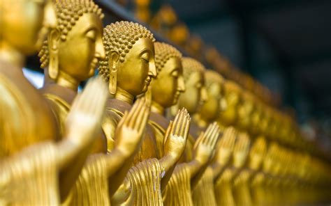 11 Wonderful Hd Buddha Wallpapers
