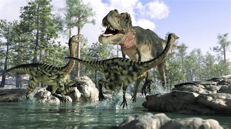 Cretaceous Period Animals Plants And Extinction Event Live Science