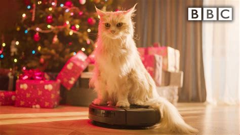 9 Hours Of Christmas Cat Hoovering Xmaslife Bbc Christmas Cats