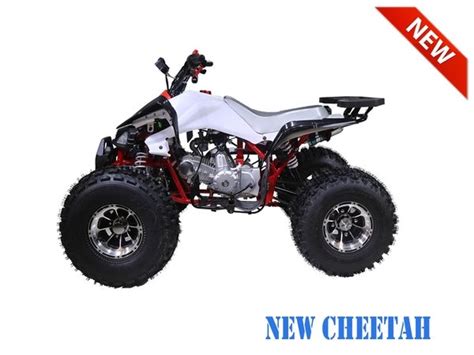 Taotao New Cheetah Atv 125cc W Upgrades Birdys Scooters And Atvs