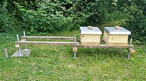 Doch wenn die bienen unterwegs sind, schleppen sie neue milben ein. Bienenstand für vier Völker mit Gerüstfüßen | Imker ...