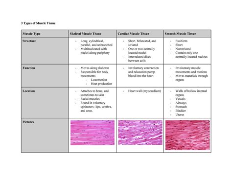 Major for bigger and minor for smaller Tables - Table for muscles - BIOL 205 Basic Human Anatomy ...