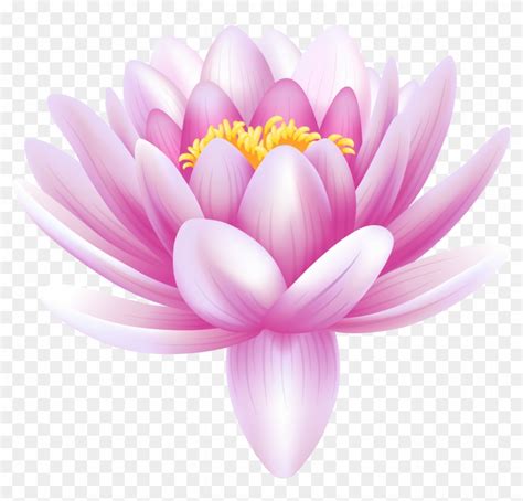 Flower Drawing Images Pink Lotus Flower Clipart Water Lily Drawing