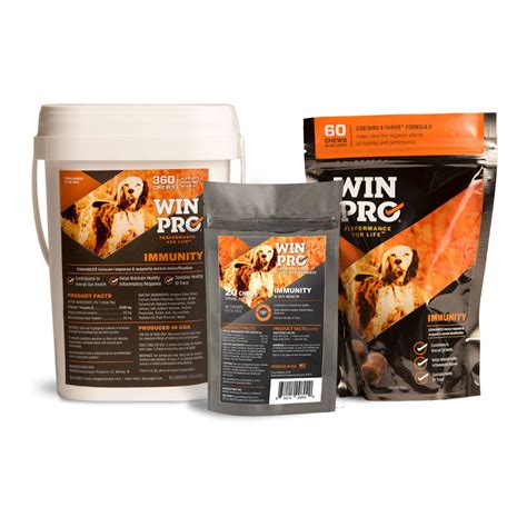 Tips For Restoring Gut Health In Dogs Winpro Blood Protein