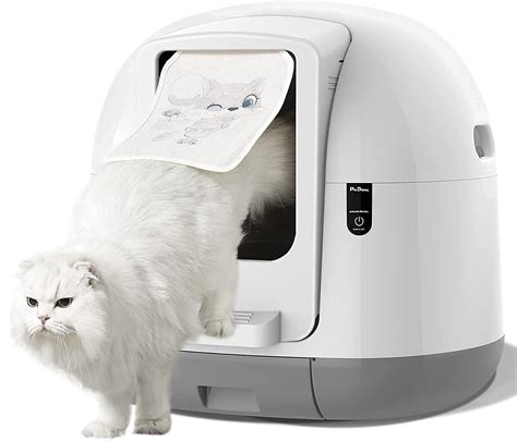 7 Best Automatic Self Cleaning Litter Boxes 2024 Reviews And Buyers