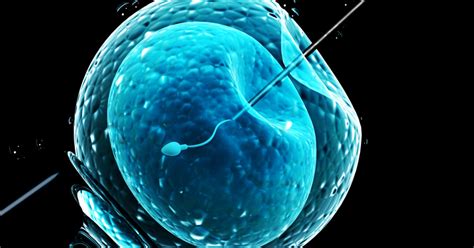 Podcast Assisted Reproductive Technology An Overview Of Cochrane