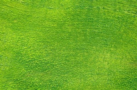 Premium Photo Field Of Green Grass Aerial View Natural Abstract Texture