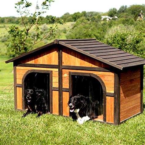 2030 Double Dog House For Large Dogs
