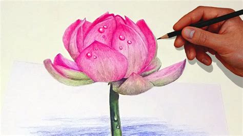Drawing A Lotus Flower With Simple Colored Pencils Youtube
