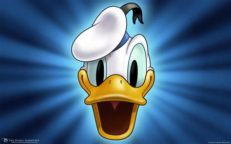 Donald Duck Wallpapers Wallpaper Cave