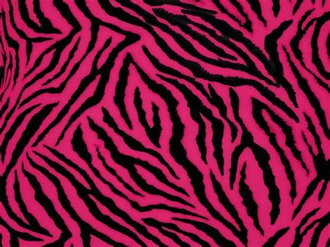 Hot Pink Zebra Wallpapers On Wallpaperdog