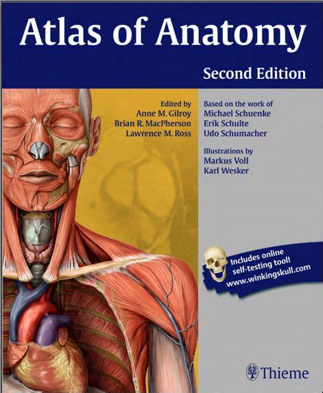 Atlas Of Anatomy 2nd Edition Gilroy Pdf Medbooksvn
