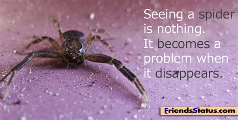 Quotes About Spiders 162 Quotes