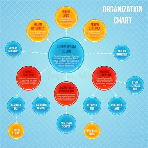 Organizational Chart Infographic Stock Vector Illustration Of
