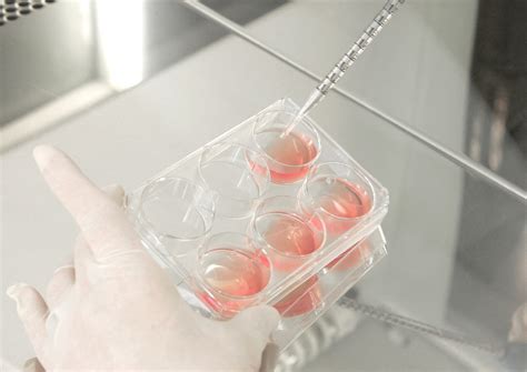 Singapores First Public Stem Cell Bank Opens Health Health News