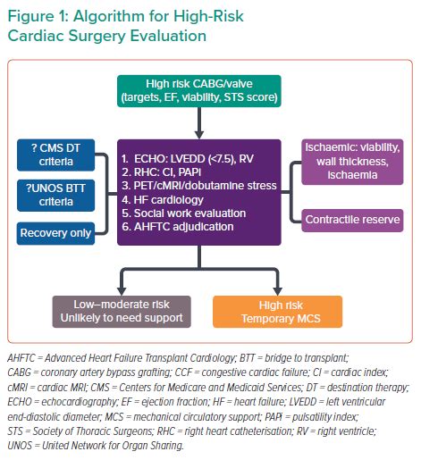 Algorithm For High Risk Cardiac Surgery Evaluation Radcliffe Cardiology