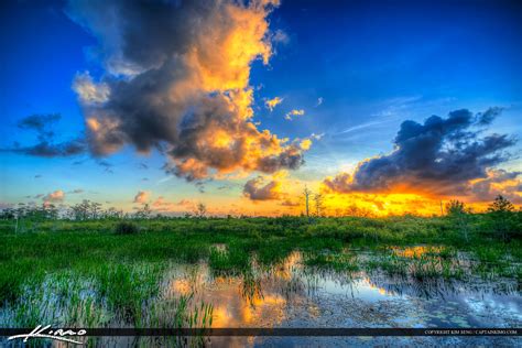 Wetlands At Sandhill Crane Park During Sunrise Hdr Photography By