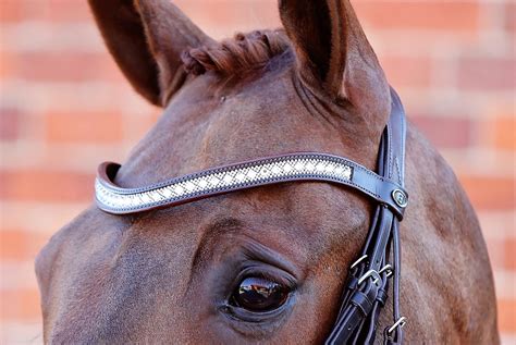 Majesty Browband Black Or Brown Belle Equestrian Leather Bridles