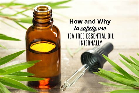 These powerful antioxidant properties can significantly improve the appearance of blemishes and scars. How & Why to Safely Use Tea Tree Oil Internally ...
