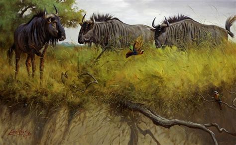 Animal Paintings Wildlife Paintings Africa Art