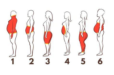 How To Get Rid Of The Six Types Of Body Fat
