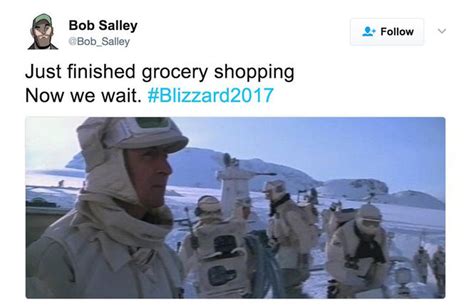 Stella Snow Storm Inspires Blizzard Of Funny Memes On Social Media
