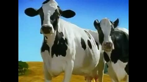 California Cows Do You Speak French Tv Commercial Hd Youtube