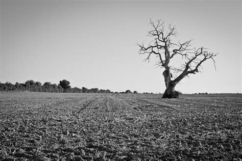 Check spelling or type a new query. 10 Inspirational Personal Project Ideas