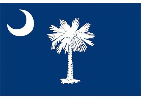 Print Of South Carolina Flag South Carolina Flag South Carolina