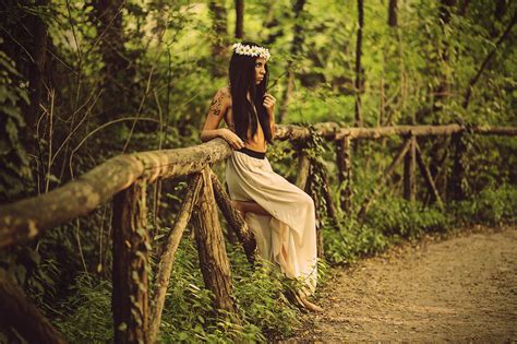 Masaüstü Güneş ışığı Manzara orman doğa Fotoğraf moda taç