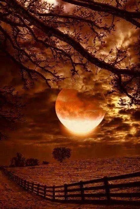 Pin By Vikki George On Good Night Nature Photography Beautiful Moon