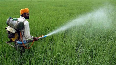 Dhanuka Agritech Launches New Insecticide For Indian Farmers