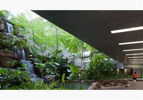 Water Feature Grace This Hospital Lobby Biophilic Design A Marriage