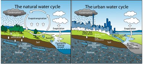 Aucklands Urban Freshwater Our Historic Relationship Greater Auckland